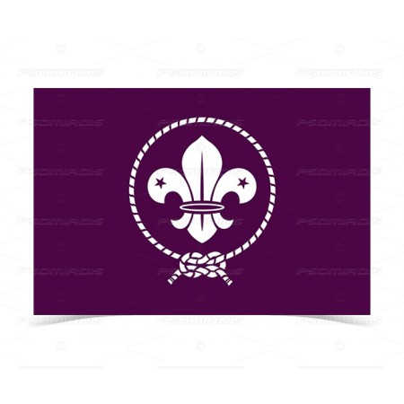 Scouts Flag