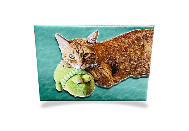 Magnet_Custom_Cat_Anaglyfo